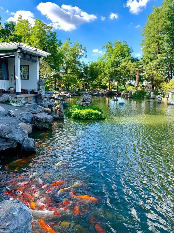南京玄武湖实景