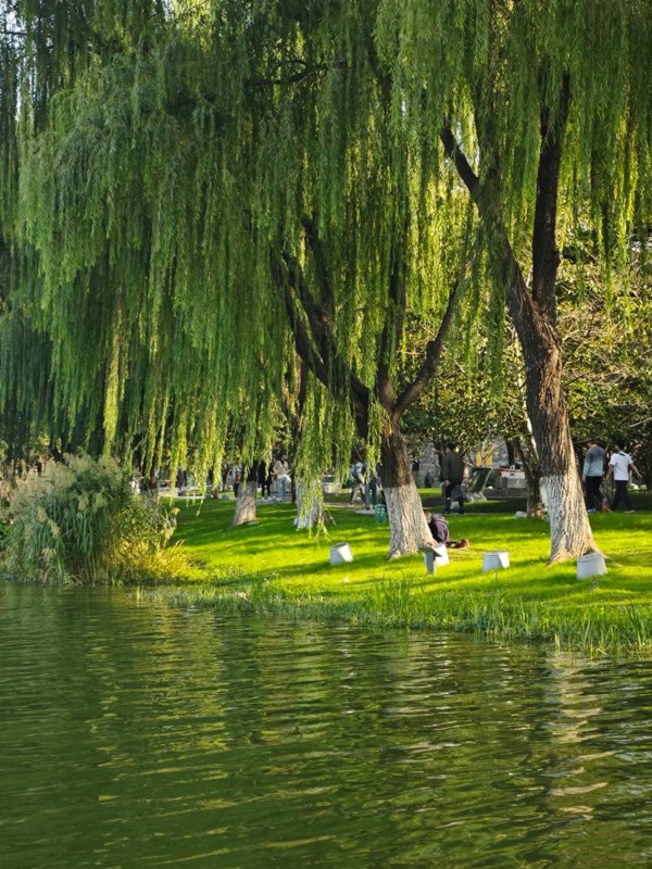 南京中山陵音乐台实景